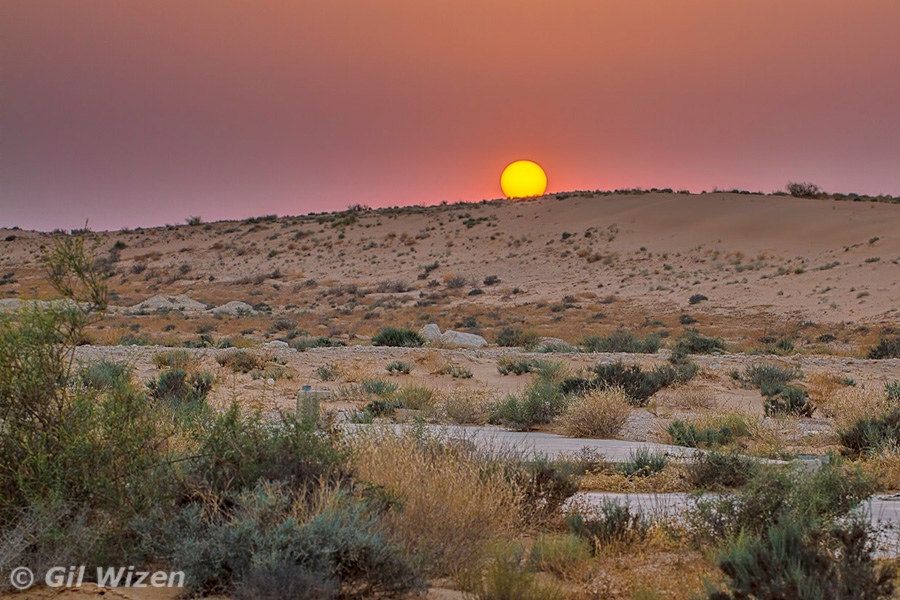 Sunset over the Western Negev desert. Soon the fun begins!