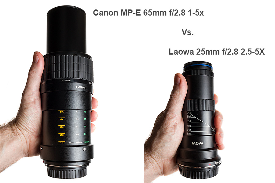 Canon MP-E 65mm f/2.8 1-5x Vs. Laowa 25mm f/2.8 2.5-5X