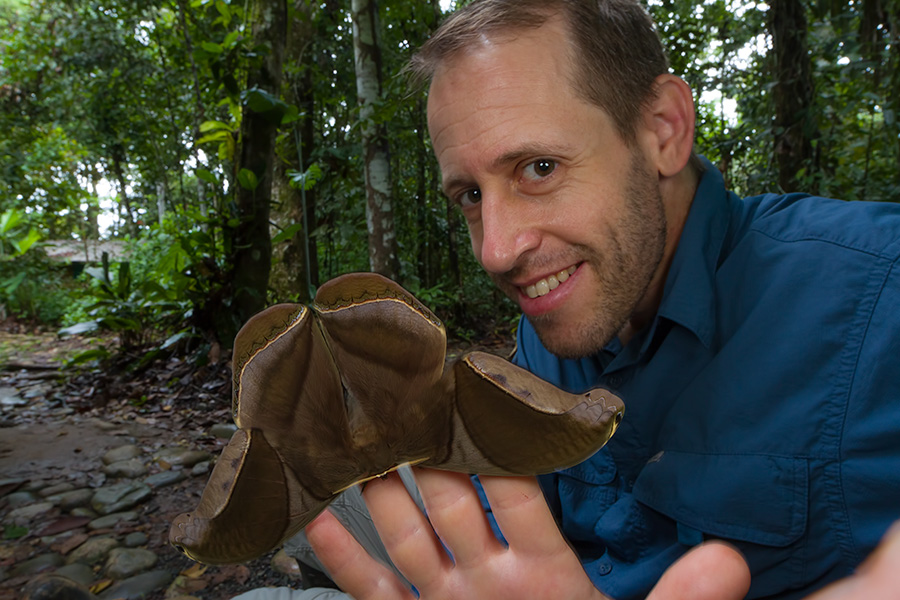 Me with a giant silk moth (Rhescyntis hippodamia) in Ecuador