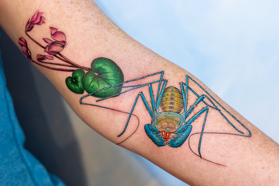 A closer look at the finished Charinus whip spider and Cyclamen tattoo. I'm super impressed and proud at the same time.