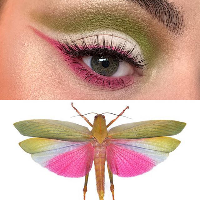 Titan grasshopper (Titanacris picticrus) inspired look by Duran Jay. A faithful representation of the species, and the soft colors really compliment her eye.