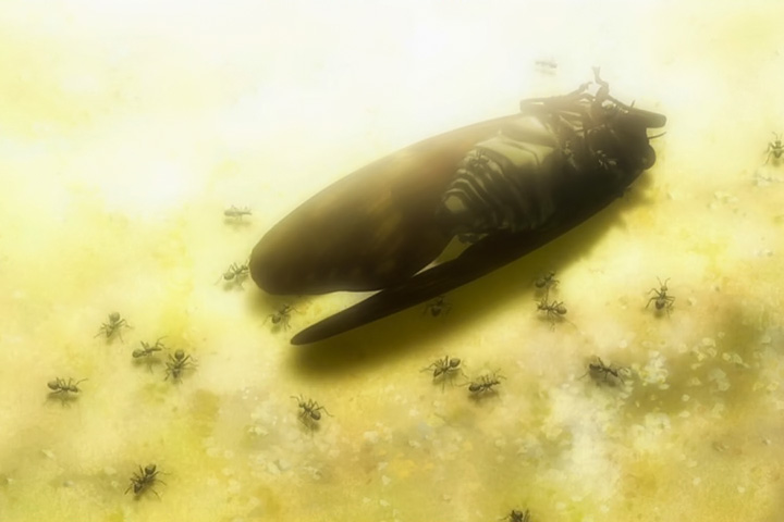 Dead cicada surrounded by ants. From "Aoi Bungaku"