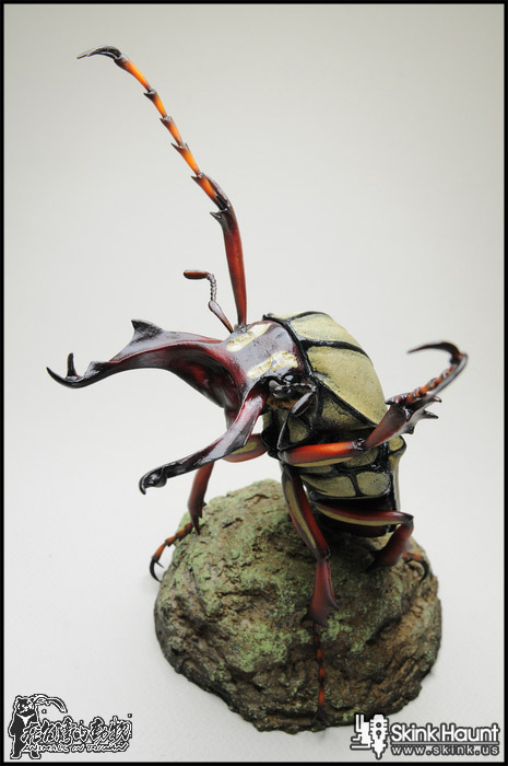 Antlered flower beetle (Dicranocephalus wallichii). Artwork by Skink Chen