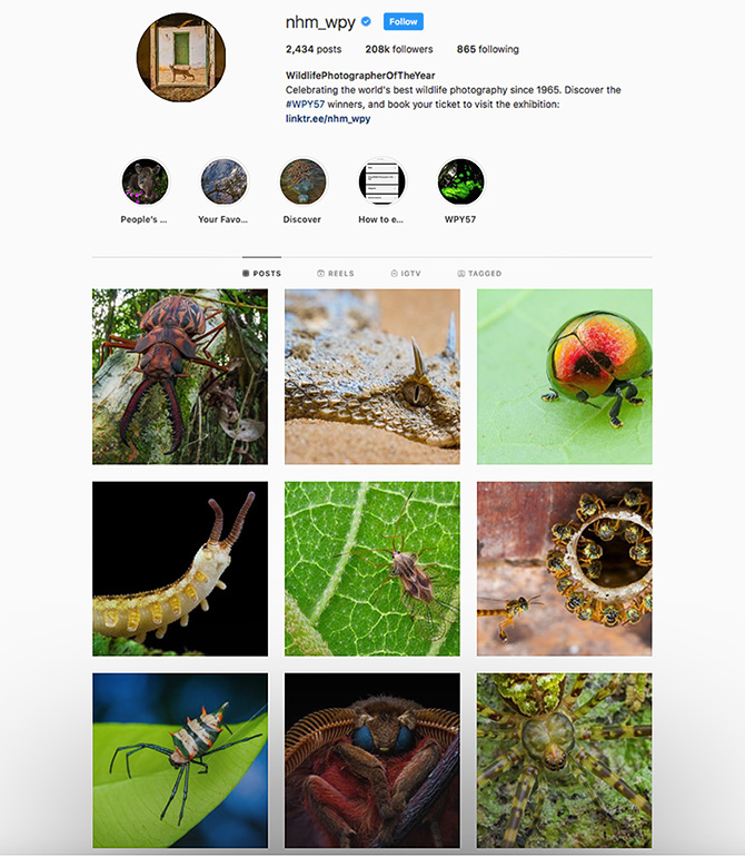 "Gil Week", social media guest posts on NHM's Wildlife Photographer of the Year Instagram account