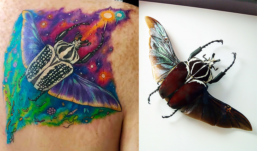 Peggy Muddles' Goliath beetle tattoo