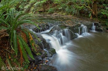 Waterfall, Catlins Forest Park, New Zealand