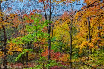 Fall colors at Rattlesnake Point, Halton region, Ontario, Canada