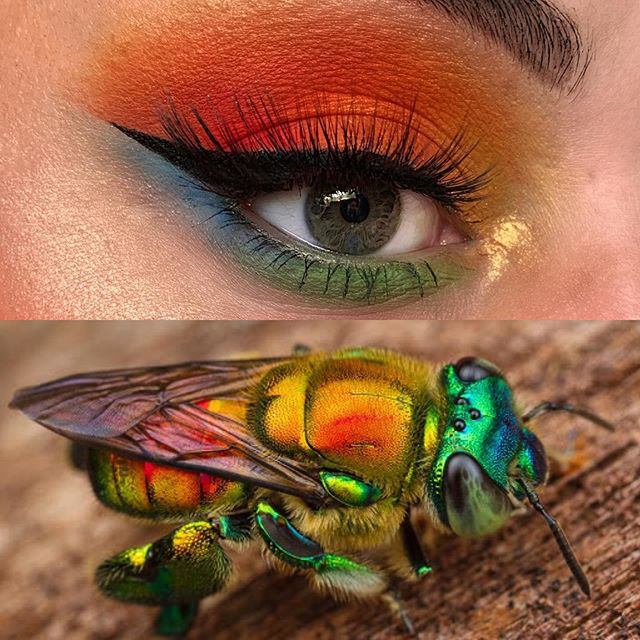 Orchid bee (Euglossa hansoni) inspired look by Duran Jay, aka entomakeup