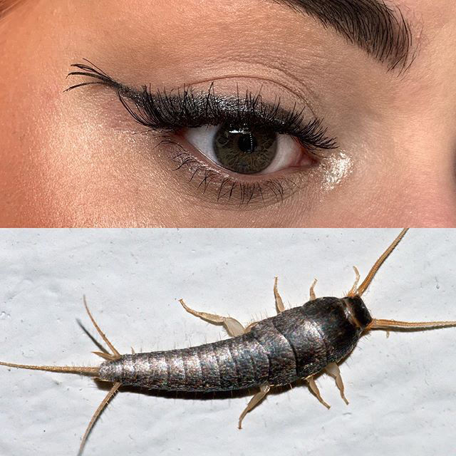 Silverfish (Lepisma saccharina) inspired look by Duran Jay. Note the added tail element.